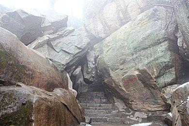 恐龙主题农场模拟游戏《恐龙岛》9＆26推出